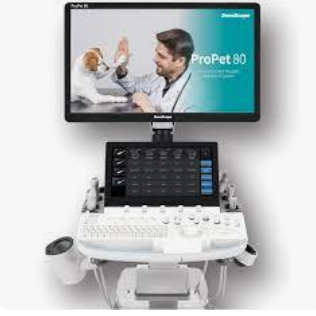 ECOGRAFO ESTACIONARIO PROPET 80