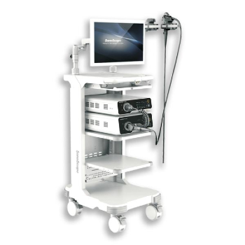 ENDOSCOPIO HD500