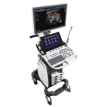 ECOGRAFO ESTACIONARIO P40