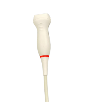 SECTORIAL ADULTO    P   4P-A