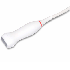 SECTORIAL ADULTO S1-5 E11